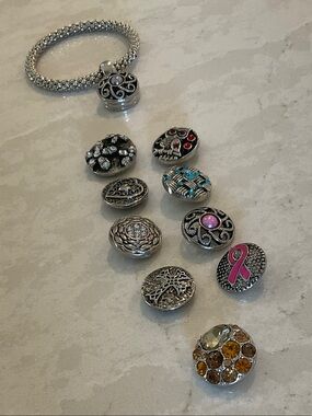 Interchangeable Silver Snap Charm Bracelet Set with Coloured Accents